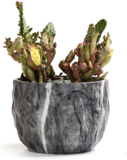 SE SUN-E Sun-E Modern Style Marbling Ceramic Flower Pot Succulent/Cactus Planter Pots Container Bonsai Planters with Hole 3.35 Inch Gift Idea(4 in Set) Plants Not Included