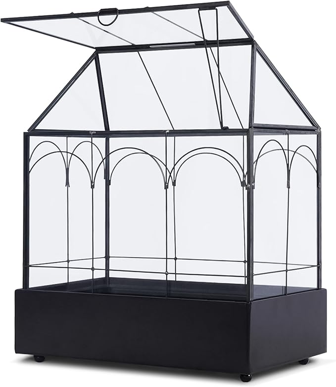 Glass Plant Terrarium with Lid and Tray 9.4"×5.7"×11.2" Geometric Garden Terrarium Glass Container for Plants Indoor Mini Tabletop Greenhouse Orchid Succulent Cacti Planter Kit
