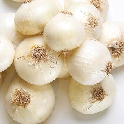 100 White Onion Bulbs for Planting, Onion Sets Fresh Bulbs Seeds for Growing