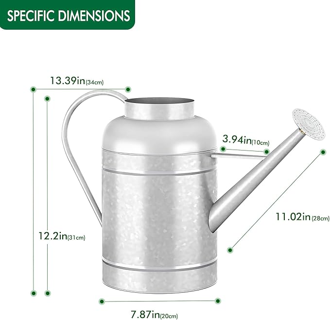 2.3 Gallon Metal Watering Can, Galvanized Watering Can for Outdoor Indoor Plants, Large Water Can for Plants and Garden Flower