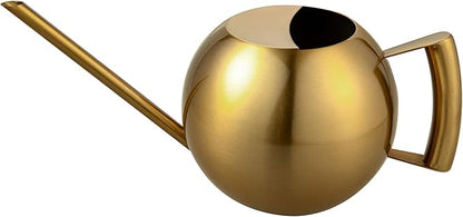 IMEEA Watering Can for Indoor Plants 45oz/1.3L Stainless Steel Small Indoor Watering Can House Plants
