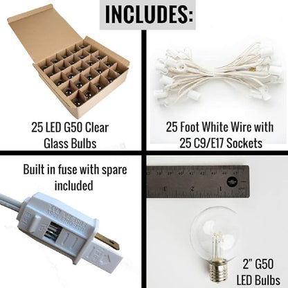 Hometown Evolution, Inc. Outdoor Globe String Lights (25 Foot, LED G40 Clear - White Wire - 1.6 Inch .6 Watt Bulbs)