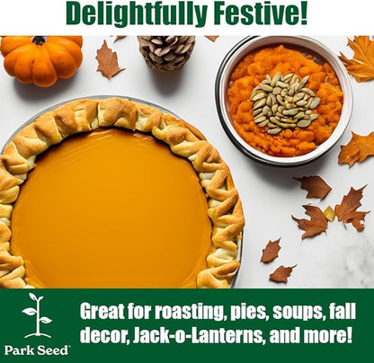 Park Seed Jarrahdale Pumpkin Seeds – Non-GMO Heirloom Blue-Green Baking Pumpkins from New Zealand, Rich Sweet Flesh for Pies & Storage, Decorative Ribbed Fruit, Pack of 25