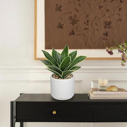 Artificial Agave Succulent Plants Faux Snake Plant Fake Succulent Agave Plants Potted in White Pot Succulent Aloe Plant for Desk Modern Office Living Room Table Shelf Home Indoor Outdoor Decor