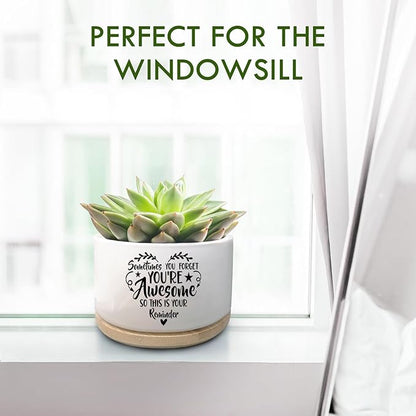 Thank You Gifts for Women, Funny Succulent Plant Pot, Cactus Flower Planter Gifts, Appreciation Inspirational Farewell Going Away Gifts for Women Men Boss Lady Manager Coworkers (No Plants)