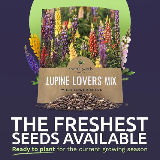 Lupine Wildflower Seeds - Large 1 Ounce Packet - Over 1,200 Annual and Perennial Mixed Lupine Flower Seeds