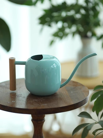 Green Moon Water Can Indoor Plant Mint Green 1.2L/41oz Metal Stainless Steel Water Can Indoor Outdoor with Long Spout for House Plant Bonsai Outdoor Garden Flowers