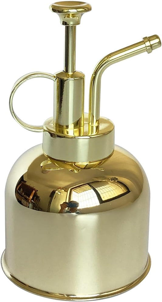 Stainless Steel Plant Sprayer, Small Watering Can Modern Gardening Tool for Indoor Potted Plants Watering and Spraying