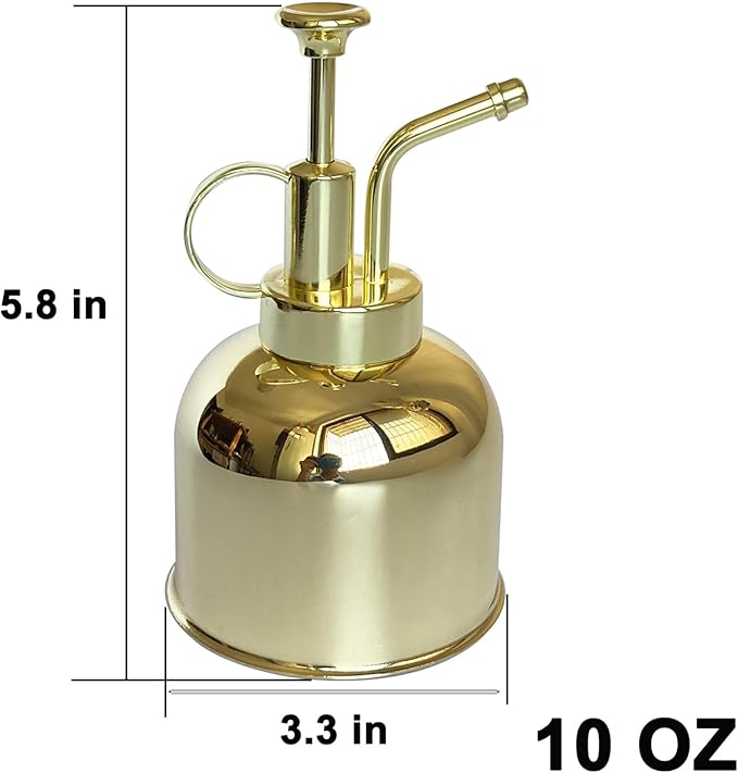 Stainless Steel Plant Sprayer, Small Watering Can Modern Gardening Tool for Indoor Potted Plants Watering and Spraying