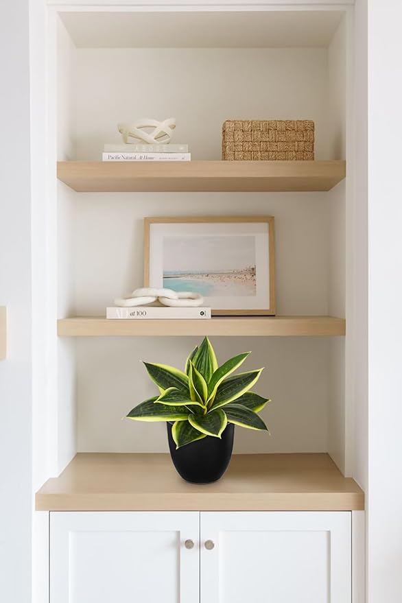 Hollyone Artificial Snake Plants 9" Faux Agave Succulent Plant Potted in Black Pot Fake Sansevieria Aloe Tropical Plant for Desk Modern Office Home Bathroom Indoor Outdoor Decor