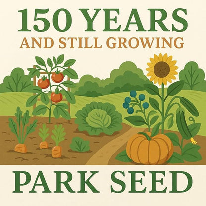 Park Seed Zinnia Flower Planting Seeds, Easy to Grow, Perfect for Spring Garden, Hidden Dragon, Pack of 50