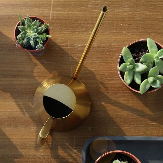 Fdit Stainless Steel Watering Can with Long Spout Steel Plant Waterer Watering Pot Sprinkle Pot Garden Flowers Plants Flower Tool(1500ml)