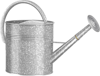 2.5 Gallon Metal Watering Can, Galvanized Watering Can for Outdoor Indoor Plants, Large Water Can for Plants and Garden Flower