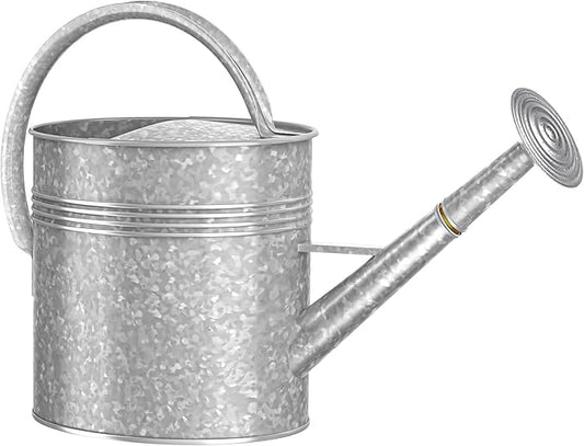 2.5 Gallon Metal Watering Can, Galvanized Watering Can for Outdoor Indoor Plants, Large Water Can for Plants and Garden Flower