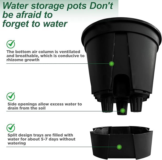 Cdd's Path 5-Pack 6 Inch Self Watering Pots Set with Holes for Indoor/Outdoor Plants,Planter Pot with Watering Hole/Reservoir and Air Pipes,Black