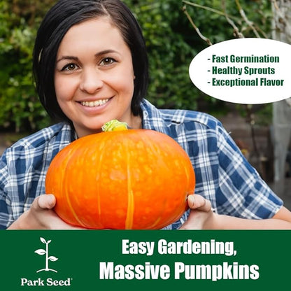 Park Seed Mini Harvest Blend Pumpkin Seeds, Miniature Pumpkin Seeds, Pack of 25 Seeds