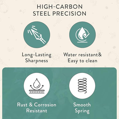 Modern Sprout Pruning Shears - Herb Snipping Scissors- Lightweight Gardening Tools W/Easy Lock - Flower Cutter Garden Shears - Carbon Steel Blade + Reusable Holster (Ocean, 1-Pack)