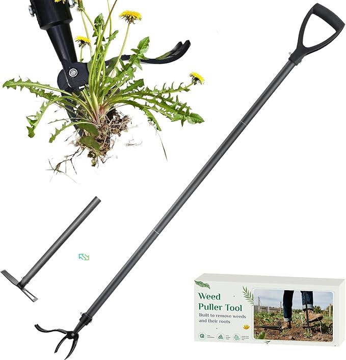 Weed Puller Tool, 2-in-1 Stand Up Weeder with 4-Claw Head & Rake, No Tools Required Assembly, Gets Rid of Weeds & Roots Permanently for a Pristine Lawn