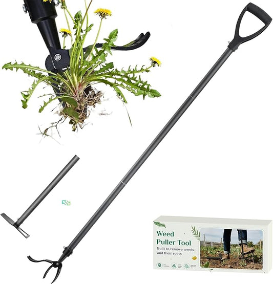 Weed Puller Tool, 2-in-1 Stand Up Weeder with 4-Claw Head & Rake, No Tools Required Assembly, Gets Rid of Weeds & Roots Permanently for a Pristine Lawn