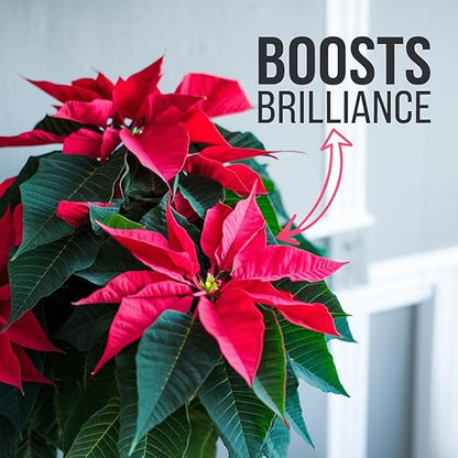 Gardenera Premium Holiday Plant Food Mist - 3-1-2 Liquid Fertilizer Spray for Poinsettias, Christmas Flowers, and Greenery - 8oz