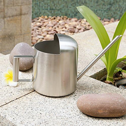 Mini Watering Can, 10oz/300ml Stainless Steel Long Spout Small Watering Can for Indoor Plants Succulents, Herbs (Silver)