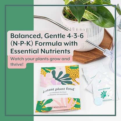 Instant Plant Care Bundle | Instant Plant Support + Instant Plant Food | Grow and Support Happy Houseplants and Indoor Planting Soil