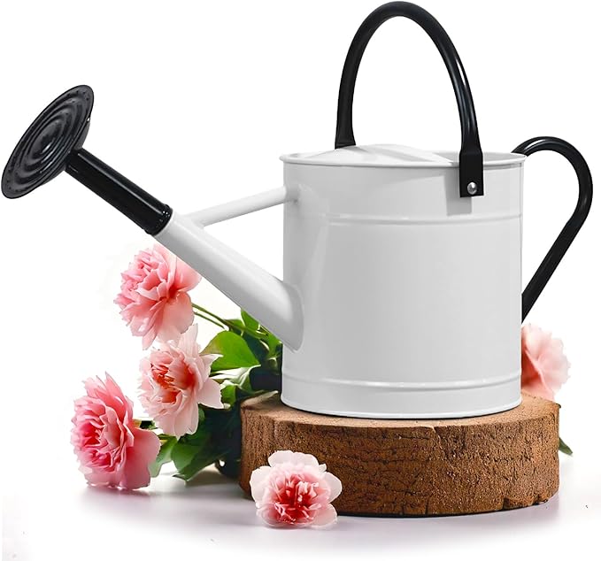 Plexon 1 Gallon Metal Watering Can Outdoor, Flower Plant Gardening Garden Large Watering Can Pot, Black Galvanized Steel Handles and Removable Spray Spout, White