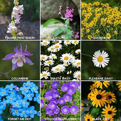 Rocky Mountain Wildflower Seeds Mix - 4 oz Seed Pouch - 22 Wild Flower Seed Varieties - Annuals, Perennials and Bi-Annuals - Flower Garden