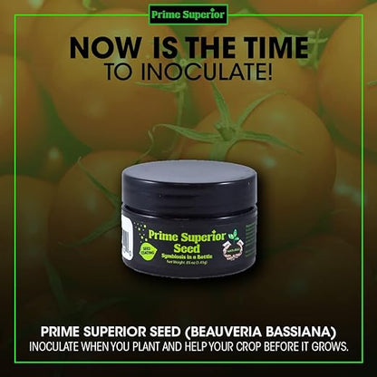 Seed (0.05 oz) – Plant inoculant & Growth Stimulant Powder. Safe for Family, Pets, & Environment. Organic Compliant for Vegetable Gardens, lawns, & House Plants. Indoor & Outdoor use.