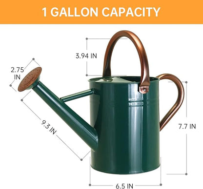 Metal Watering Can for Outdoor Plants, 1 Gallon Galvanized Steel Watering Can with Removable spout for Outdoor & Indoor Use, Perfect for Garden Flower, Houseplants, Forest Green