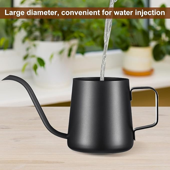 12 oz / 350 ml Watering Can Indoor Plants, Stainless Steel Plant Watering Can with Long Spout (Black) (12oz)