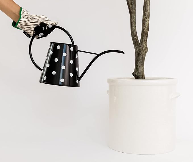 Kate Spade New York 2.5 Liter Indoor Watering Can, Metal Watering Can for House Plants, Cute Gardening Tool for Women, Picture Dot