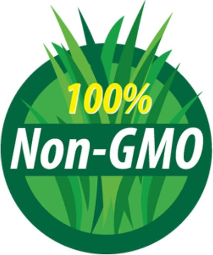 Protein Powerhouse Sprouting Seed Mix: 2.5 Lb - Organic, Non-GMO - Sprouting Sprouts, Food Storage. High Protien Sprouts - Pea, Mung, Green Pea, Adzuki