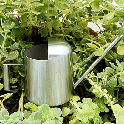 Mini Watering Can, 10oz/300ml Stainless Steel Long Spout Small Watering Can for Indoor Plants Succulents, Herbs (Silver)