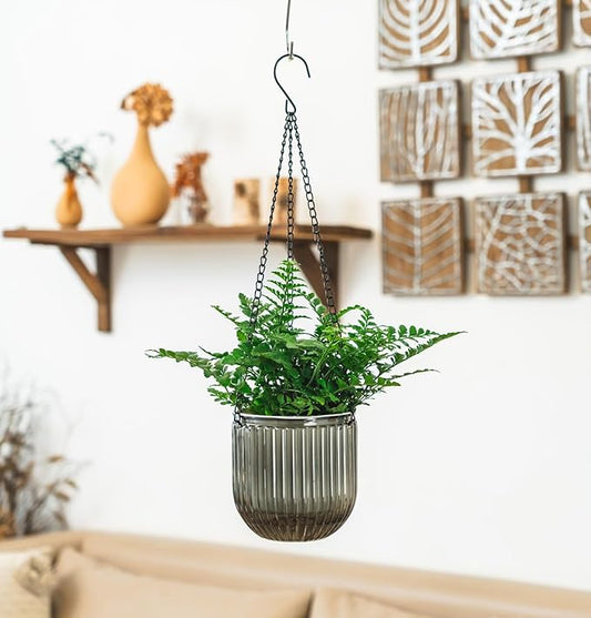 Melphoe 2 Pack Self Watering Hanging Planters Indoor Flower Pots, 5.3 Inch Outdoor Hanging Basket, Plant Hanger with 3Hooks Drainage Holes for Garden Home (Gray)