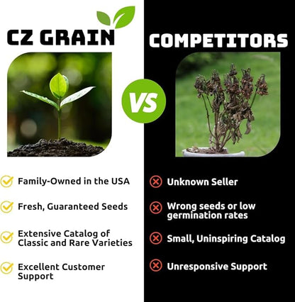 Eversong Weeping Willow Bonsai Tree Cutting to Grow - Thick Trunk Cutting, Fast Growing- Great Gift