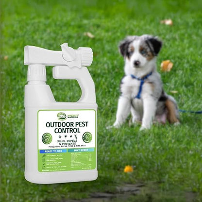 Mosquito Magician Ready to Use Hose Sprayer - Holds 32 Fl Oz of Liquid - Refillable - Kills Mosquitoes, Fleas, and Fire Ants - for Yards, Lawns, Patios - with Essential Oils - Mint