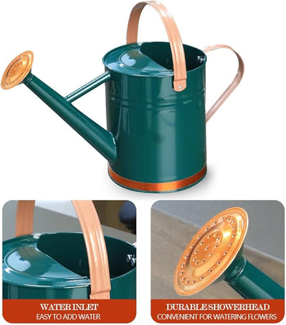 Metal Watering Can, One Gallon Watering Cans Stainless Steel for Outdoor Indoor Garden Plants Watering (One Gallon Green Decorative Strip)