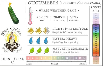 Bulk Organic Boston Pickling Cucumber Seeds Non GMO (50 Lbs)