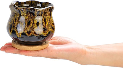 Cute Ceramic Succulent Garden Pots, Planter with Drainage and Attached Saucer, Set of 5 -Plants Not Included (Fambe)