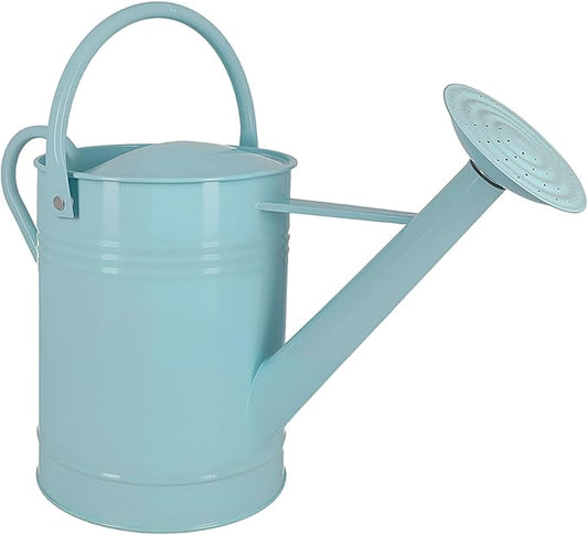 2 Gallon Metal Watering Can for Outdoor Indoor Garden Plants, Galvanized Watering Can with Removable Spout, Garden Watering Pot for Flowers, Plants & Lawns (Light Blue)