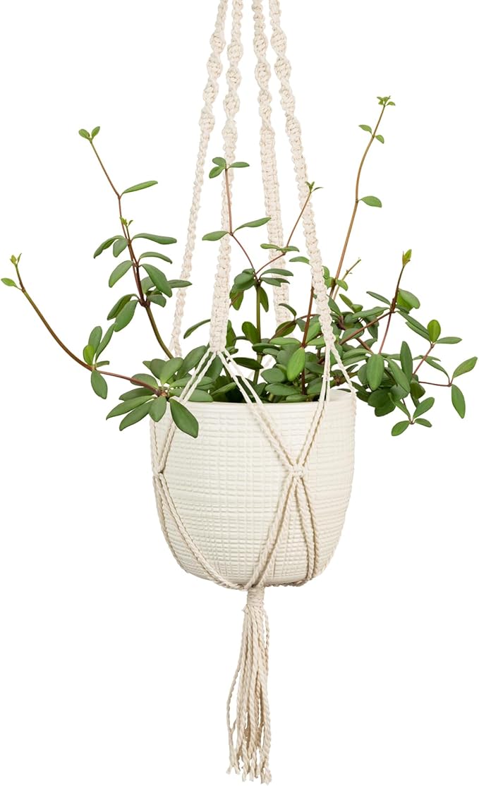 SCHEURICH Alaska Ceramic Hanging Pot – 7.1" Indoor Planter with Metal Chains - Waterproof & UV-Resistant - Stylish Modern Hanging Basket for Plants, Ferns & Succulents - Made in Germany - 0.4 gl