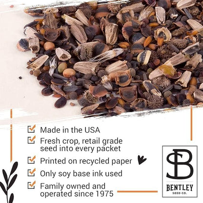 Bentley Seed Co. | Bee Kind Pollinator Flowers | Beautiful Bee Art Kraft Look Seed Packets | Environmental Favors Cards for Guests | Wildflower Mix Seed Packets | Eco-Friendly Hand Out Gift | 25 Pack