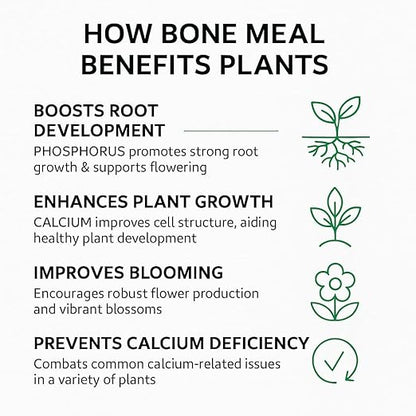 𝐁𝐄𝐒𝐓𝐒𝐄𝐋𝐋𝐄𝐑 Organic Bone Meal Fertilizer by Gardenera (4-12-0 NPK) All-Natural Plant Food Source of Nitrogen and Phosphorus for Bulbs, Gardens, Potted Plants, Trees, and Shrubs [16 OZ]