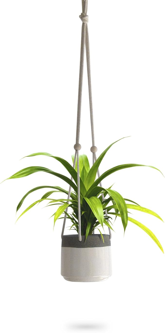 23 Bees Ceramic Hanging Planter, White Gray Succulent Pots, Round Plant Holder Container, Cactus Pot with Cotton Rope Hanger, Indoor Outdoor Decor, (1 Pack x White)