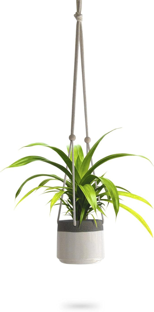 23 Bees Ceramic Hanging Planter, White Gray Succulent Pots, Round Plant Holder Container, Cactus Pot with Cotton Rope Hanger, Indoor Outdoor Decor, (1 Pack x White)