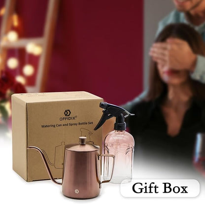 Watering Can for Indoor Plants Long Spout Metal Stainless Steel 21 oz/600 ml Small Watering Can with 14 oz/400ml Glass Plant Mister Spray Bottle for Plants Bonsai