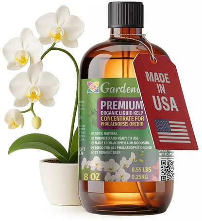 GARDENERA Premium Organic Seaweed & Kelp Superfood for PHALAENOPSIS Plants - 8 oz - Liquid Kelp Fertilizer Concentrate (Makes 45 Gallons)