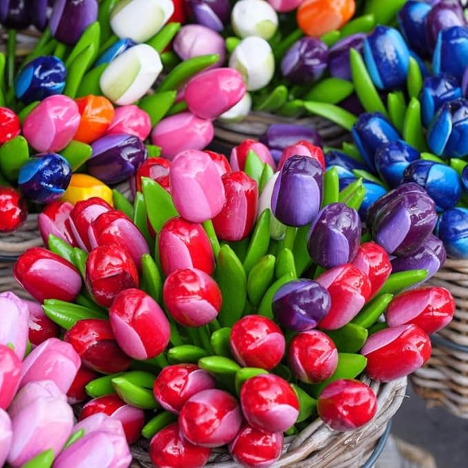 30 Top Size Tulip Bulbs for Fall Planting, Mixed Tulip Flower Bulbs, Bulk Pack of Colorful Tulips for Spring Blooms, Grow Flowerbeds, Fresh Harvest