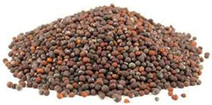 Non-GMO Broccoli Seeds for Sprouting Sprouts Microgreens (8oz of Pure Seed (40000+Seeds)). Country Creek LLC. Brand.